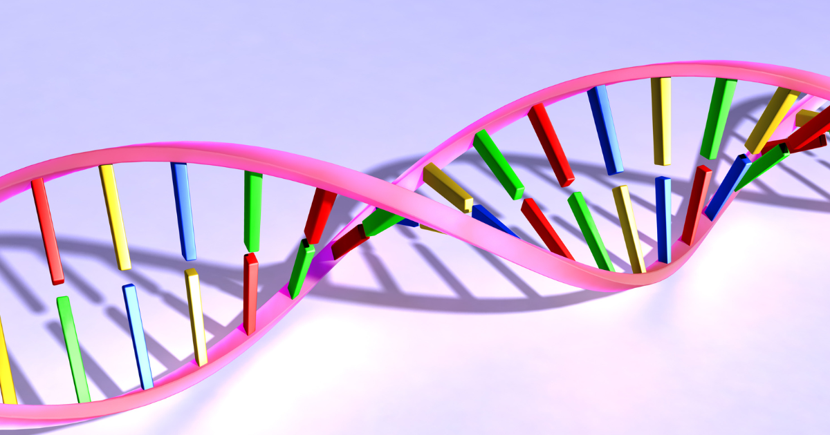 23andMe Raw Data