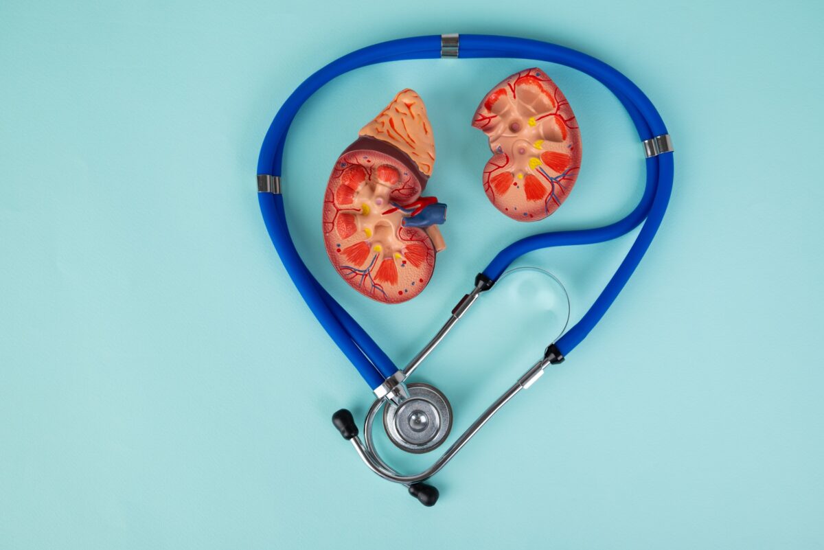 Kidney health