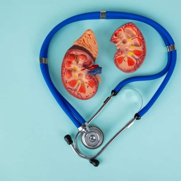 Kidney health