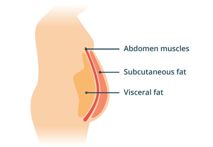 Visceral body fat