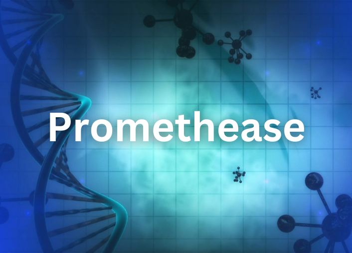 Promethease review