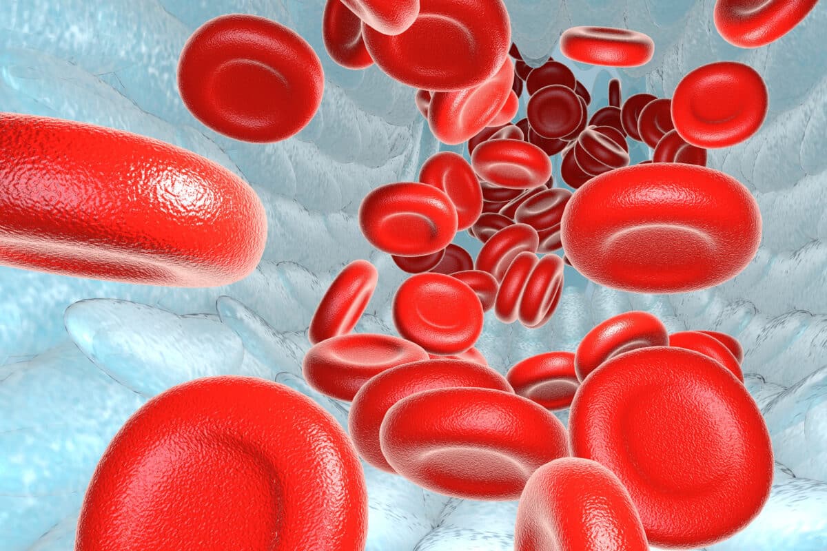 Microscopic view of red blood cells with focus on MCV levels, exploring the genetic influence on red blood cell size and health