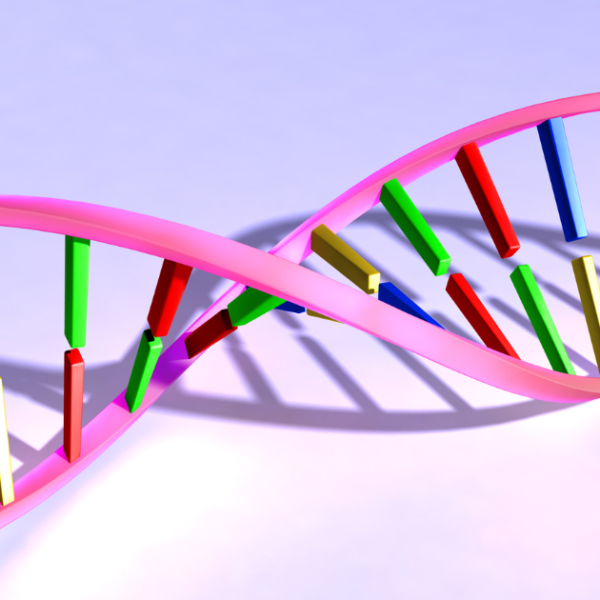 23andMe Raw Data