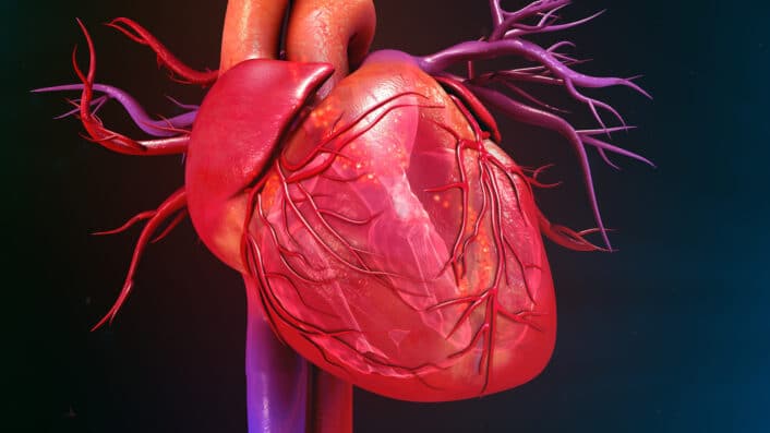 Heart illustration showing the impact of Marfan syndrome on cardiovascular health, focusing on genetic mutations affecting the heart