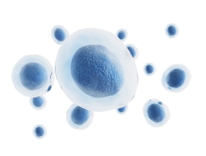 Genes Affect Neutrophil Count