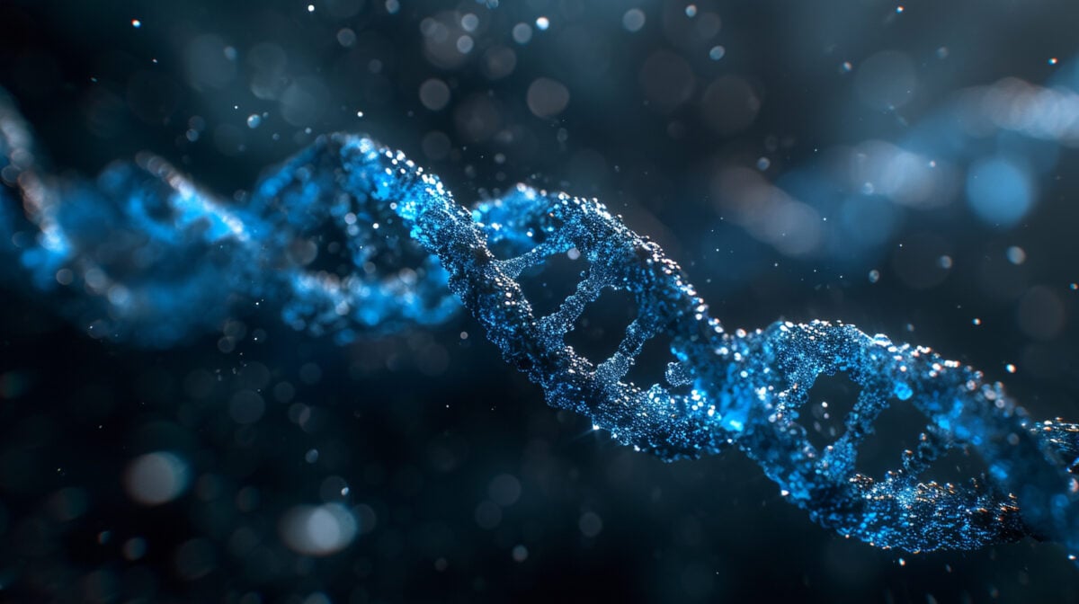 Close-up view of DNA strands, highlighting genetic factors influencing white blood cell function