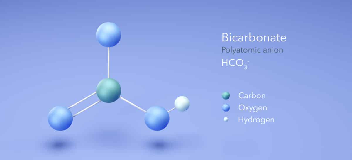 3D molecular structure of bicarbonate