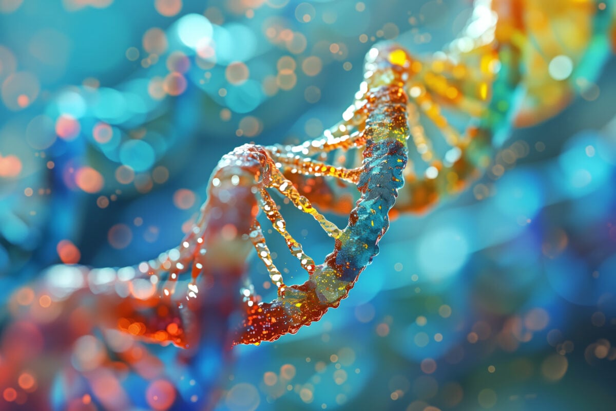 Close-up view of DNA strands, highlighting the molecular structures involved in the methylation cycle and creatine metabolism