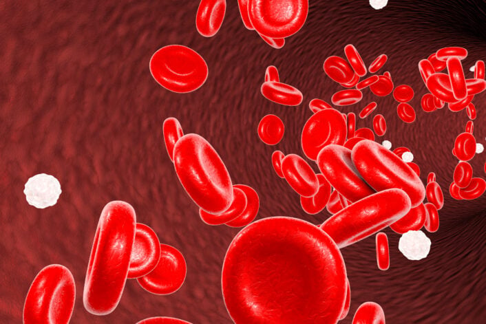 Red blood cells traveling through blood vessels, symbolizing the process of blood clotting and the genetic factors involved in thrombophilia