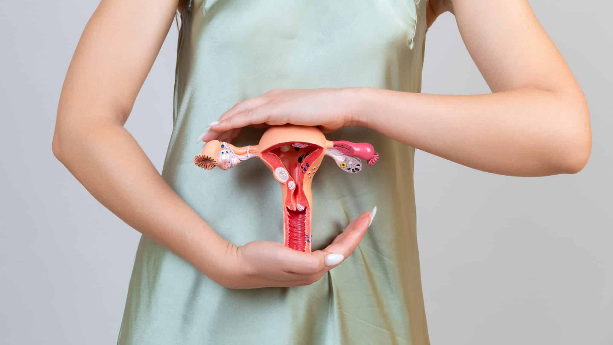 An image of a woman holding a diagram of female reproductive organs, representing the genetic factors in PCOS and natural ways to manage its symptoms.