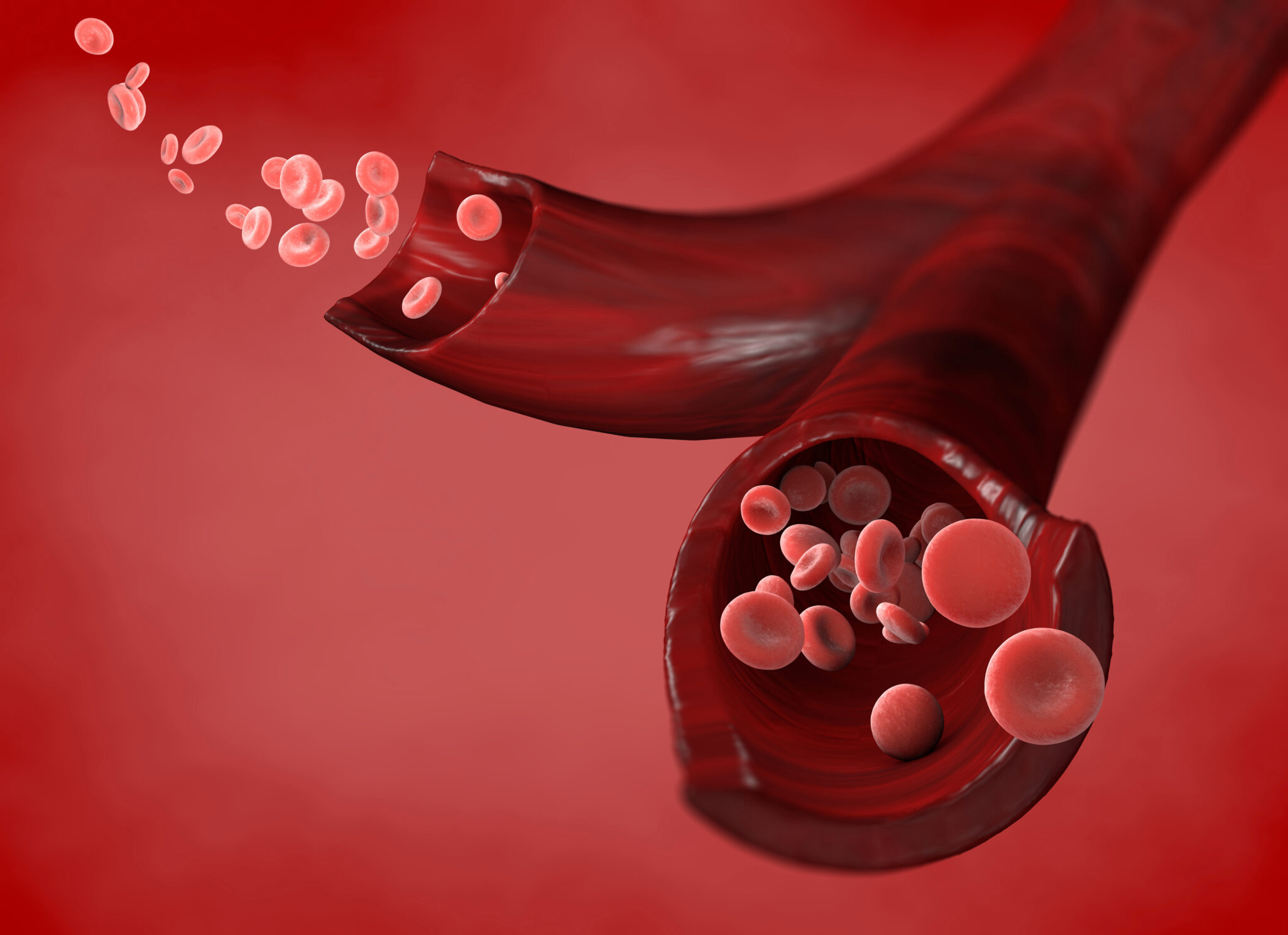 A relaxed blood vessel representing the role of NOS3 in cardiovascular health.