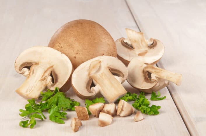 An image of mushrooms, representing the potential genetic factors behind mushroom intolerance.