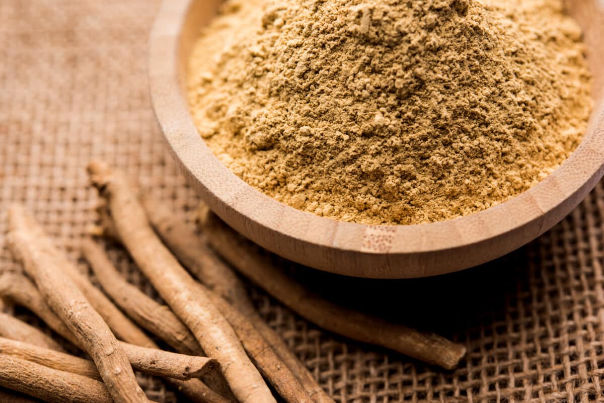 Powdered Ashwagandha herb in a bowl highlighting genetic influence on herbal response