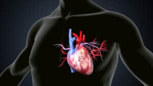 Illustrated heart image highlighting the mitral valve, representing genetic factors in mitral valve prolapse